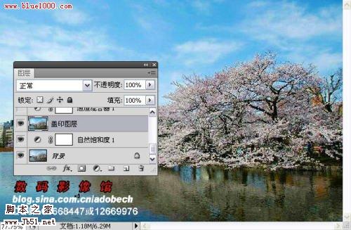 photoshop 树外景照片添加雪景般的梦幻效果