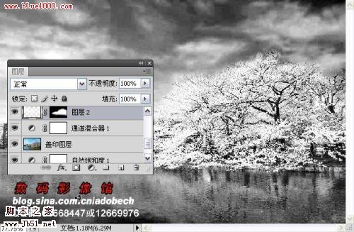 photoshop 树外景照片添加雪景般的梦幻效果