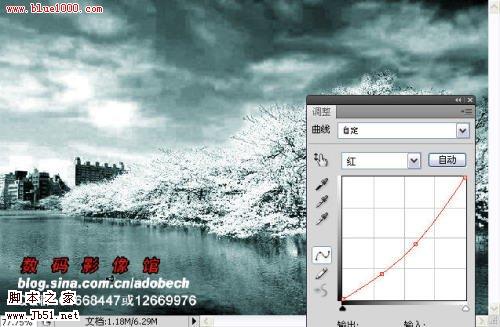 photoshop 树外景照片添加雪景般的梦幻效果