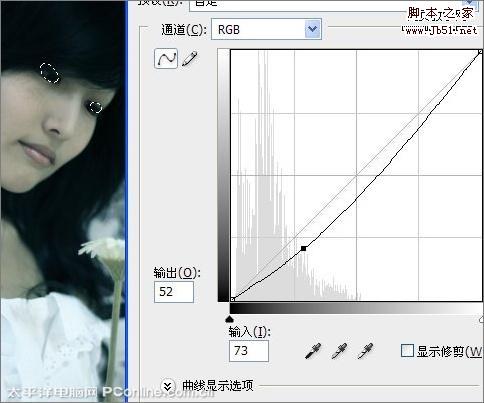 Photoshop 图片调成冷艳忧郁色调