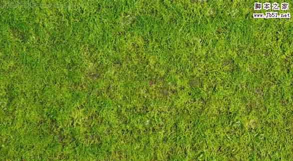 Photoshop 长满青草的沙丘字效果