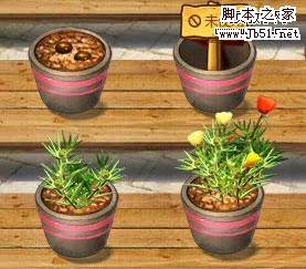 种菜腻了就种花吧 腾讯秘密发布QQ花园