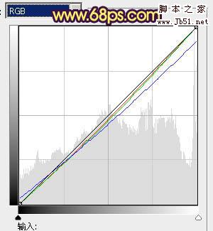 Photoshop将特写人物图片调制成柔美的紫黄色