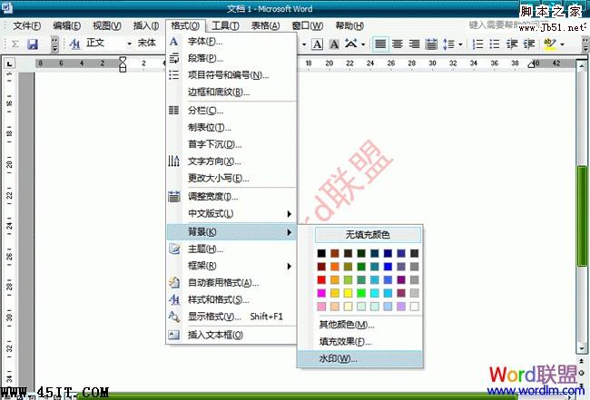 Word2003文档中怎么样去水印