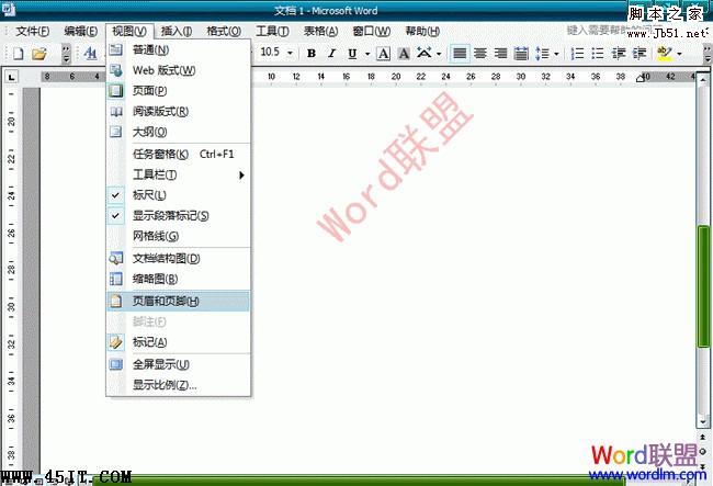 Word2003文档中怎么样去水印