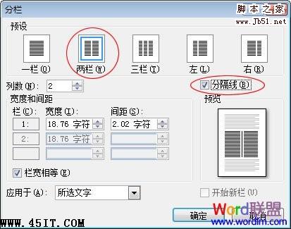 选择两栏和分隔线