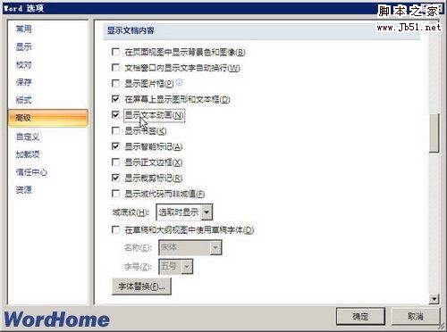 选中显示文本动画复选框