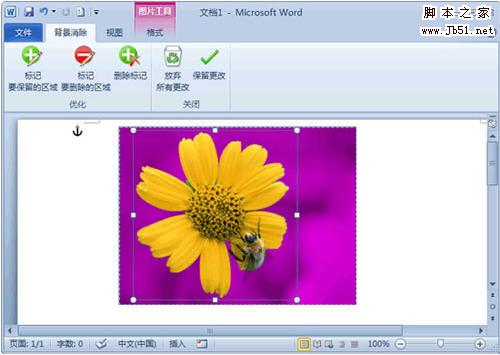 Word 2010去除图片背景小技巧