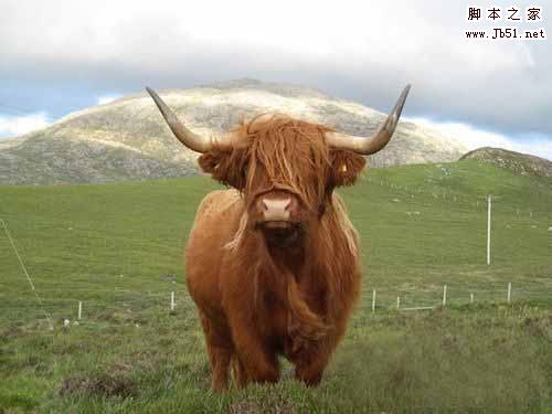 青少年摄影师的作品 儿童眼中的地球摄影佳作欣赏