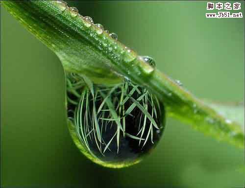 新手必学:微距拍摄技巧和手法