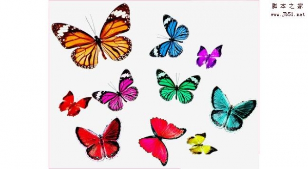 漂亮的七彩蝴蝶装饰笔刷(ps蝴蝶笔刷) 免费版