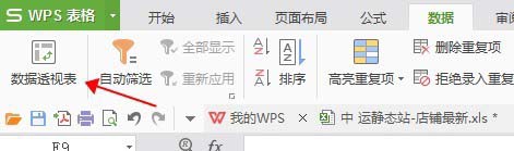 WPS怎么使用数据透视表对数据汇总操作?