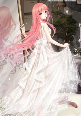 奇迹暖暖少女级19支3完美搭配 信鸽的旅行者完美S攻略