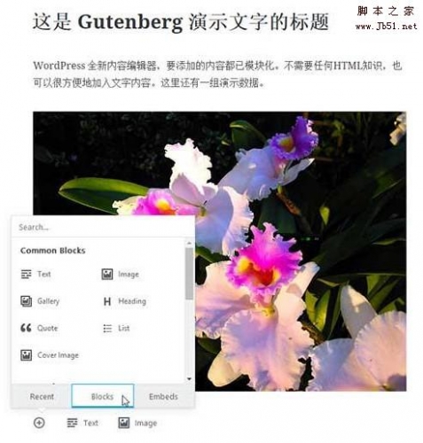 Gutenberg编辑器插件 v0.3.0 官方免费版