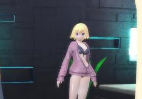 Fate/EXTELLA pc版dlc贞德Gravure Vacances服饰图鉴