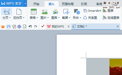 wps怎么截图? wps截图的方法