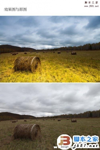photoshop如何使用RAW格式插件将灰暗的草原调制出明亮的黄蓝色