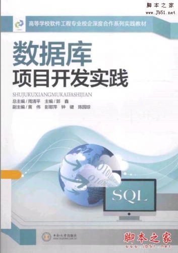 数据库项目开发实践 (周清平 等著) 带书签目录完整版PDF[36MB] 