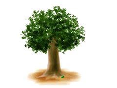 PPT怎么制作树苗慢慢成长成大树的动画?
