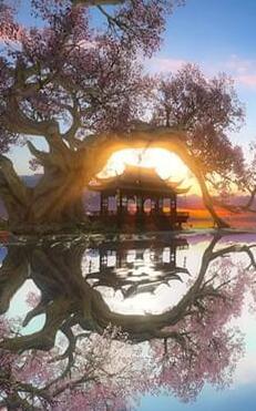 逆水寒日课点不够怎么办 日课点速刷方法