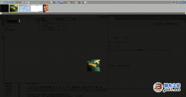 bkViewer 数码照片浏览工具软件 v7.6j 绿色中文版