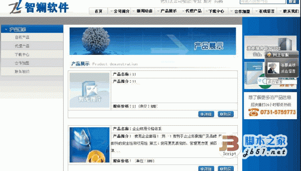 918软件公司展示系统 v2.1 