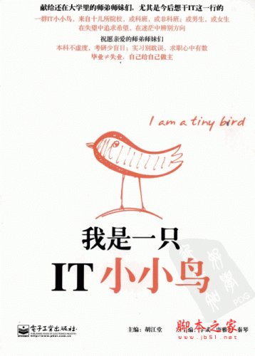 我是一只IT小小鸟 胡江堂 PDF版 