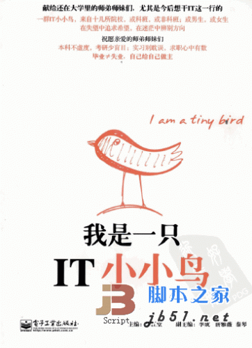 我是一只IT小小鸟 PDF扫描版 IT人成长故事