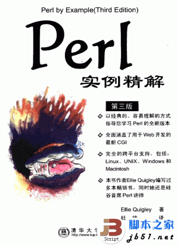 Perl实例精解第三版 学Perl必看书 PDF清晰扫描版(18.5M)
