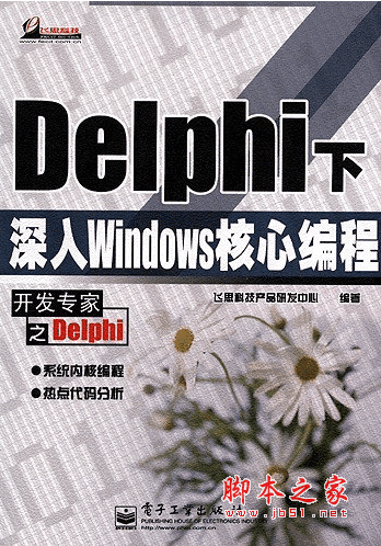 Delphi 下深入Windows 核心编程 pdf版 附随书光盘代码