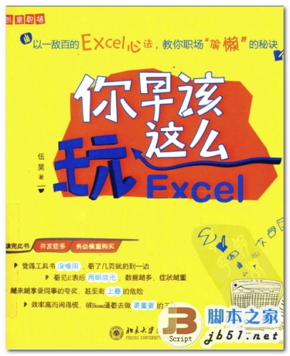 你早该这么玩Excel 伍昊 著 中文 PDF 清晰扫描版 [48M]