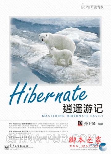 Hibernate逍遥游记( 孙卫琴) PDF扫描版 