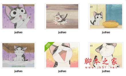 起司猫QQ表情包大全集(动静态 445枚)