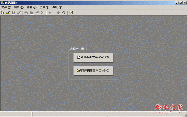 密码钥匙（密码管理软件） V1.01 绿色中文免费版