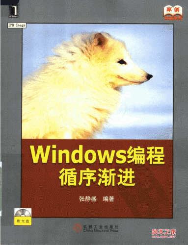 WINDOWS编程循序渐进 PDF 扫描版[142.58M]