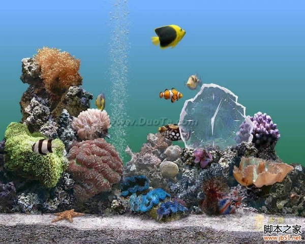 热带鱼水族箱屏幕 v3.0 免费汉化版