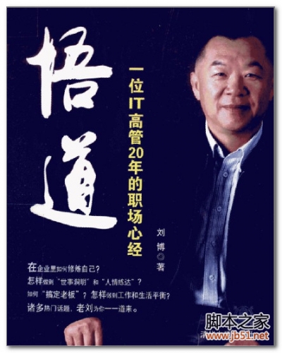 悟道：一位IT高管20年的职场心经 PDF 扫描版[20M]