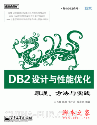 DB2设计与性能优化 原理、方法与实践 (王飞鹏等) pdf扫描版