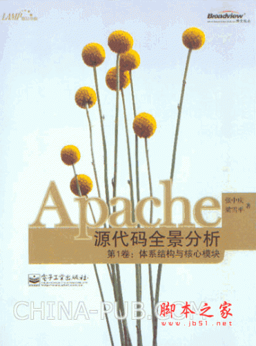 apache源代码全景分析(张中庆,梁雪平) PDF扫描版