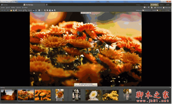 数码照片处理软件(Zoner Photo Studio Pro) v17.0.1.6 完美版