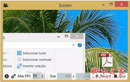 GIF动画录制软件 Screen to Gif v1.1 beta 免费绿色英文版