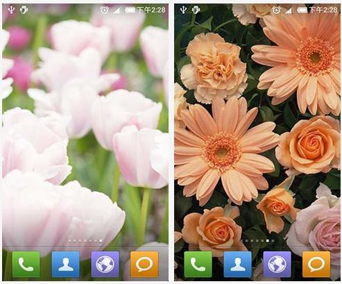 清新花朵动态壁纸 v2.1.4 安卓免费版
