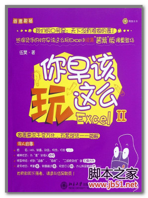 你早该这么玩Excel II(作者: 伍昊) PDF 扫描版[92M]