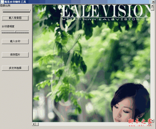 简易图片水印制作工具 V1.2.8 绿色版