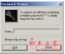 Password Viewer(查看星号密码工具) v0.93 英文绿色免费版
