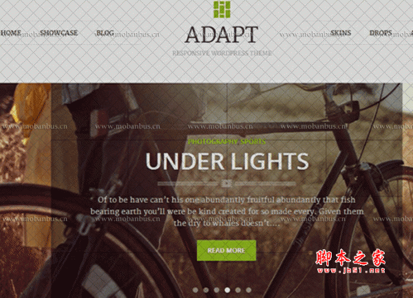 wordpress瀑布流英文主题:Adapt v1