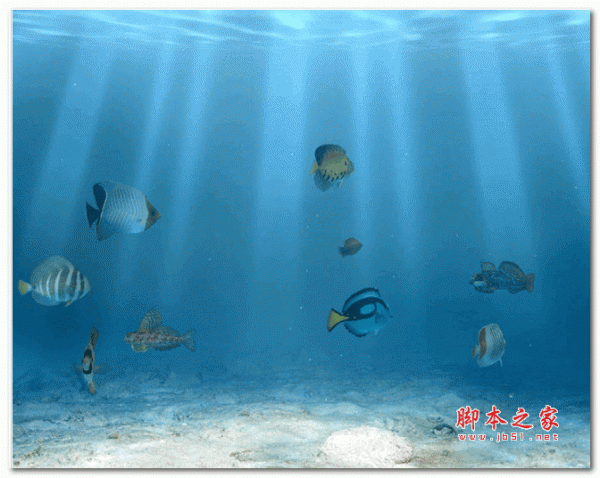 3D鱼缸屏保 Sim Aquarium 3D 3.8.B58 官方英文版
