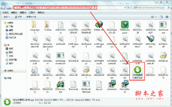 IDM批量导入助手 v1.1 绿色版