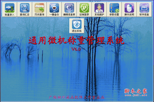 通用微机称重管理系统 v6.0 绿色版