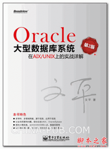 Oracle大型数据库系统在AIX/UNIX上的实战详解（第2版）(文平)高清PDF扫描版 [266.16M]
